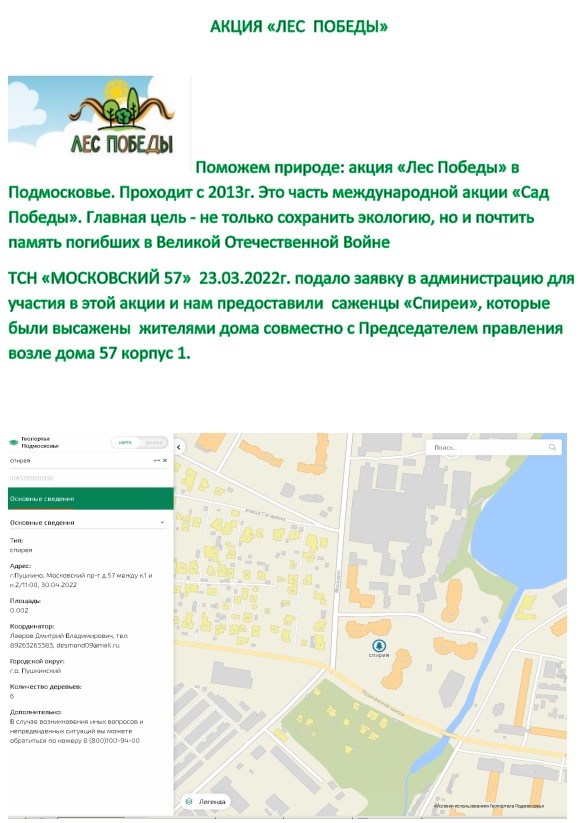 лес.jpg лес.jpg