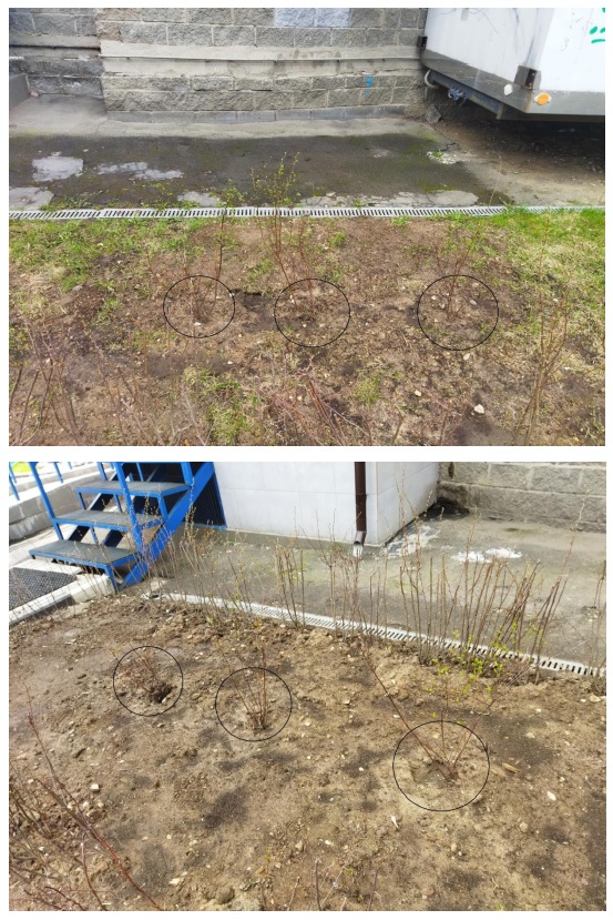 лес2.jpg лес2.jpg